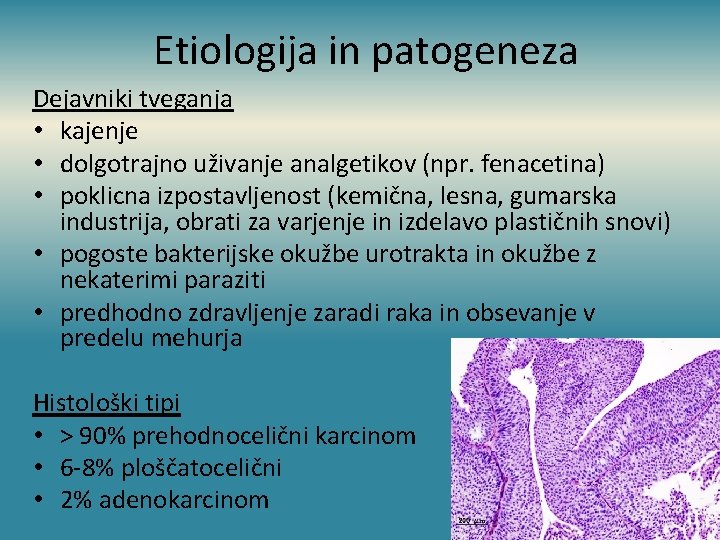 Etiologija in patogeneza Dejavniki tveganja • kajenje • dolgotrajno uživanje analgetikov (npr. fenacetina) •