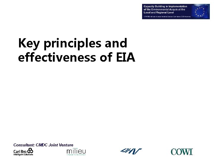 Key principles and effectiveness of EIA Consultant: CMDC Joint Venture 