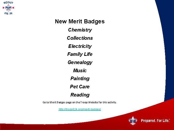 New Merit Badges Chemistry Collections Electricity Family Life Genealogy Music Painting Pet Care Reading