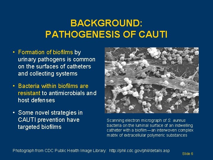 BACKGROUND: PATHOGENESIS OF CAUTI • Formation of biofilms by urinary pathogens is common on