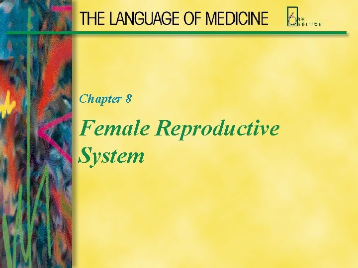 Chapter 8 Female Reproductive System 