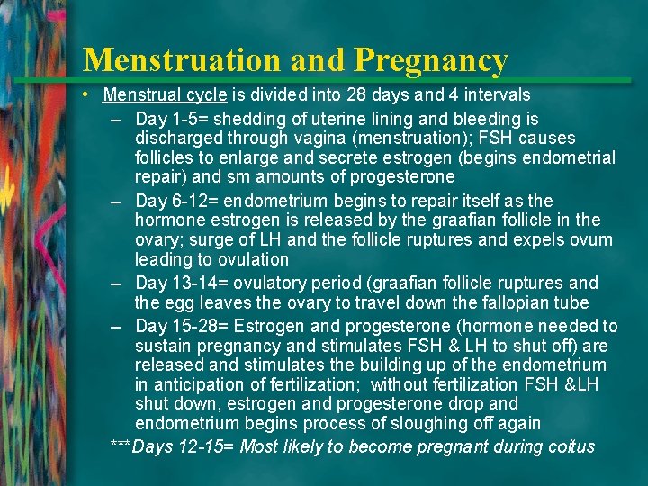Menstruation and Pregnancy • Menstrual cycle is divided into 28 days and 4 intervals