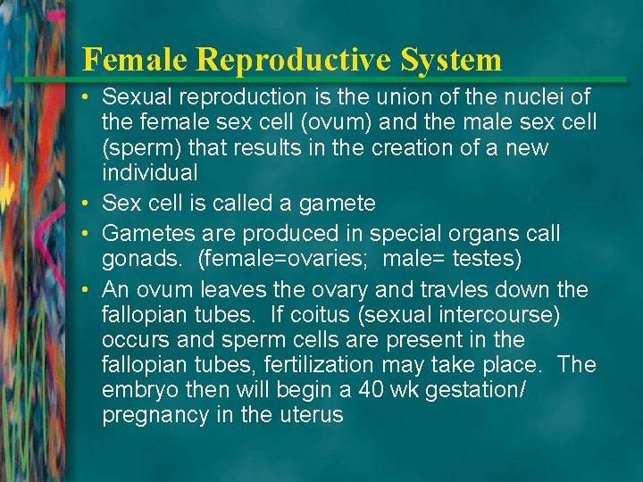 Female Reproductive System • Sexual reproduction is the union of the nuclei of the