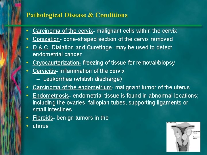 Pathological Disease & Conditions • Carcinoma of the cervix- malignant cells within the cervix
