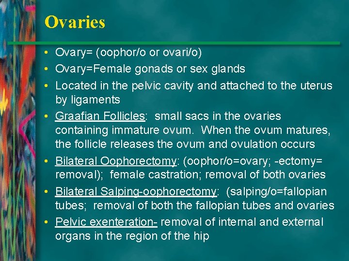 Ovaries • Ovary= (oophor/o or ovari/o) • Ovary=Female gonads or sex glands • Located