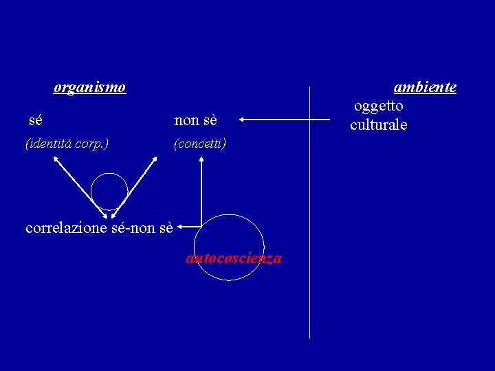 organismo sé non sè (identità corp. ) (concetti) correlazione sé-non sè autocoscienza ambiente oggetto