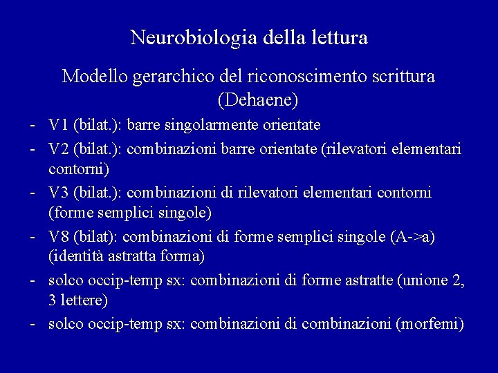 Neurobiologia della lettura Modello gerarchico del riconoscimento scrittura (Dehaene) - V 1 (bilat. ):