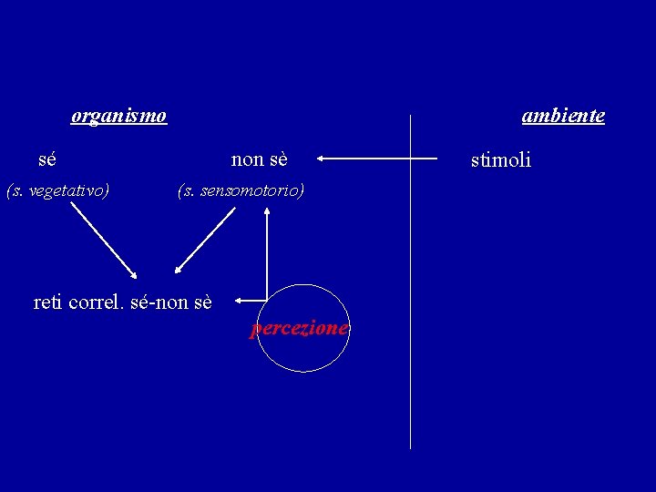 organismo ambiente sé (s. vegetativo) non sè (s. sensomotorio) reti correl. sé-non sè percezione