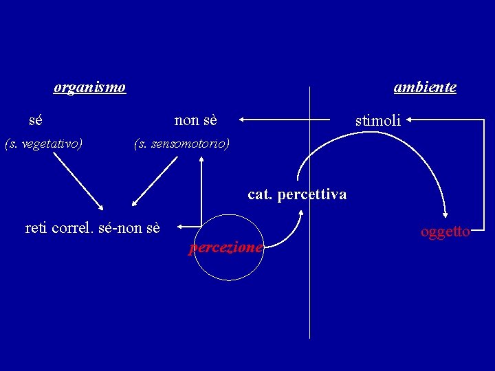 organismo ambiente sé (s. vegetativo) non sè stimoli (s. sensomotorio) cat. percettiva reti correl.