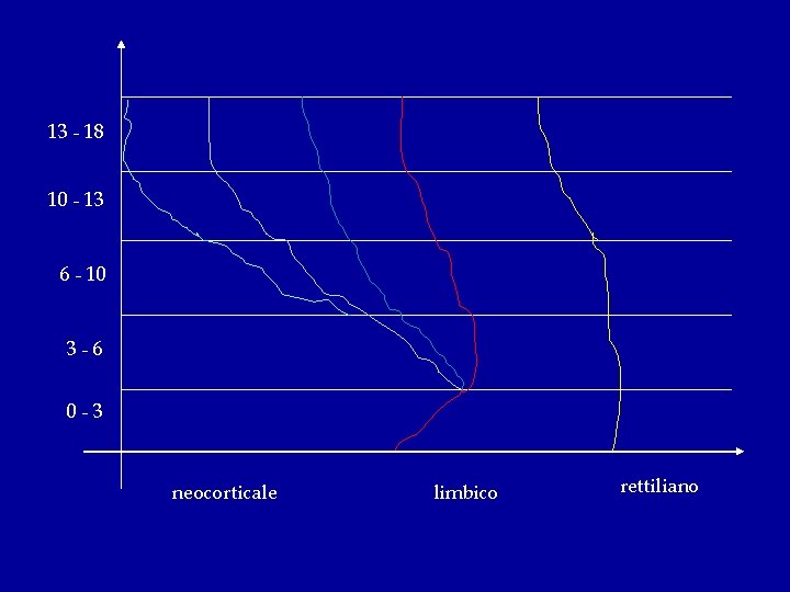 13 - 18 10 - 13 6 - 10 3 -6 0 -3 neocorticale