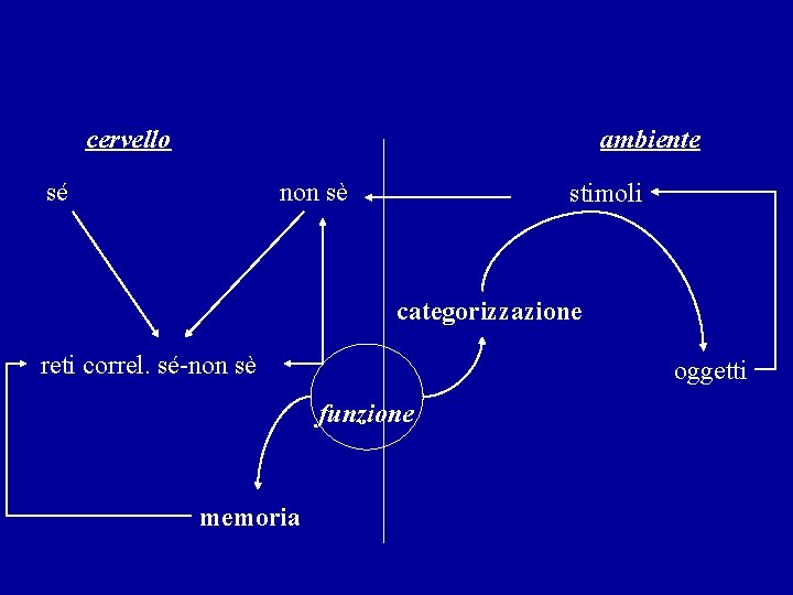 cervello ambiente sé non sè stimoli categorizzazione reti correl. sé-non sè oggetti funzione memoria