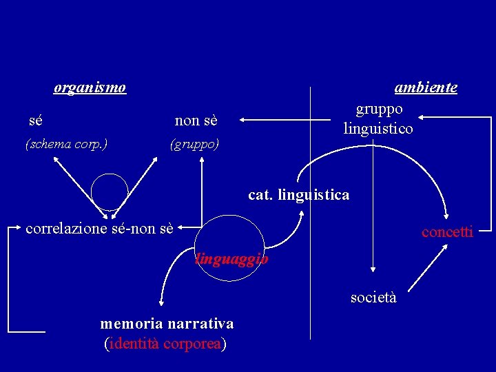 organismo sé ambiente gruppo linguistico non sè (schema corp. ) (gruppo) cat. linguistica correlazione