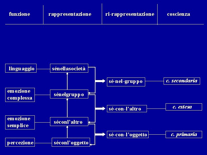 funzione linguaggio emozione complessa emozione semplice percezione rappresentazione ri-rappresentazione coscienza sénellasocietà sé-nel-gruppo c. secondaria