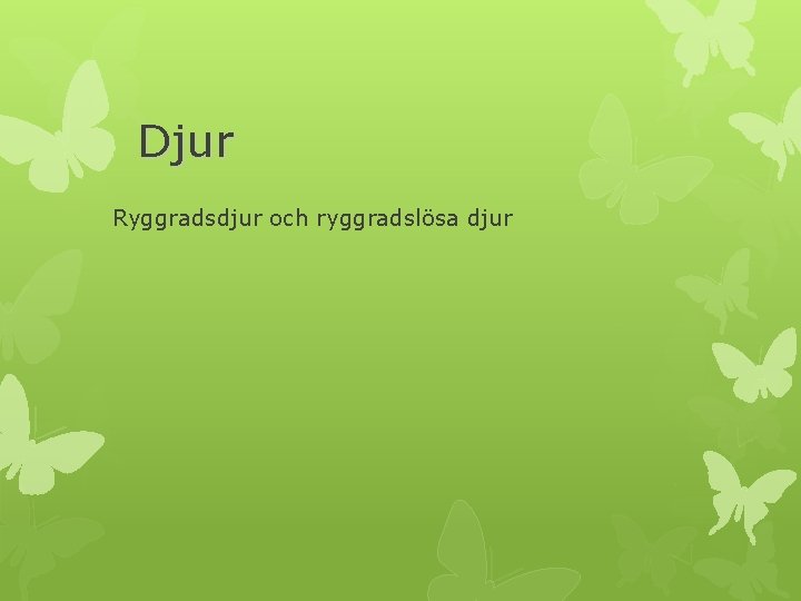 Djur Ryggradsdjur och ryggradslösa djur 