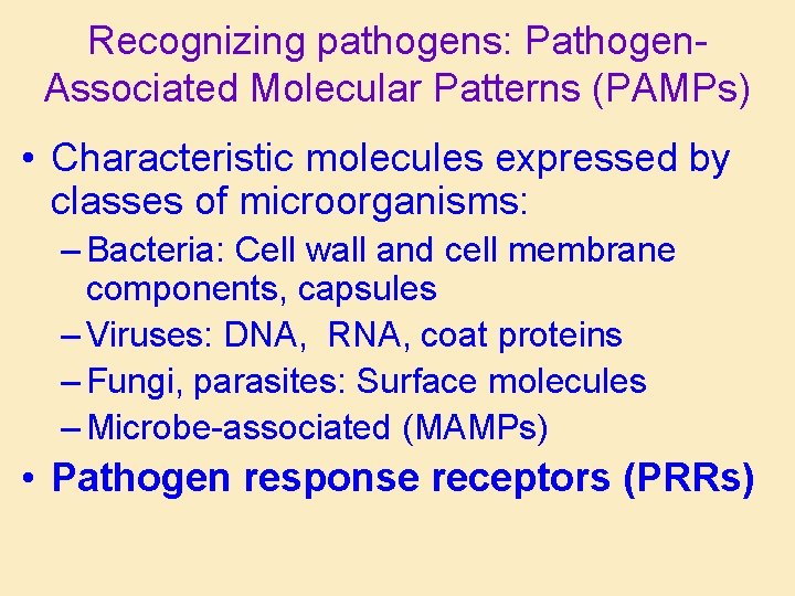 Recognizing pathogens: Pathogen. Associated Molecular Patterns (PAMPs) • Characteristic molecules expressed by classes of