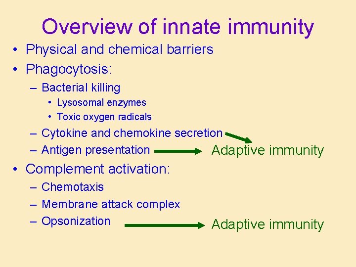 Overview of innate immunity • Physical and chemical barriers • Phagocytosis: – Bacterial killing