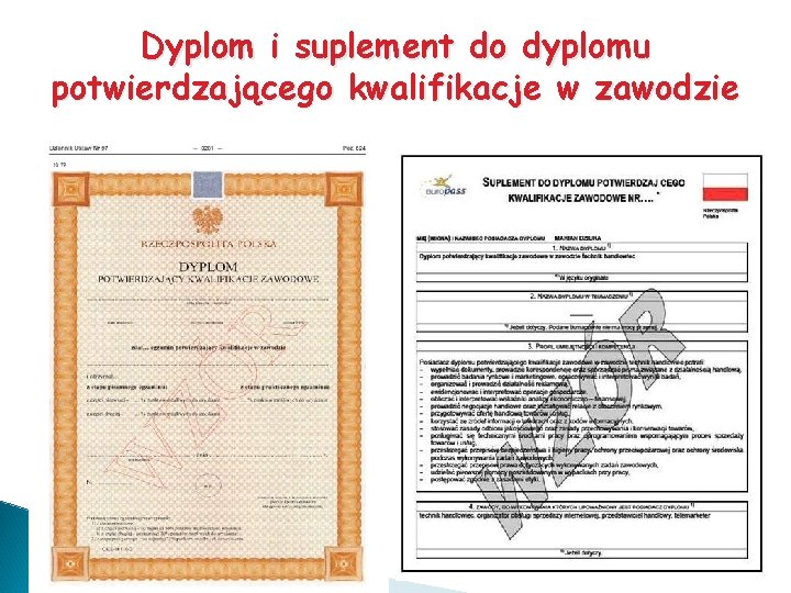 Dyplom i suplement do dyplomu potwierdzającego kwalifikacje w zawodzie 