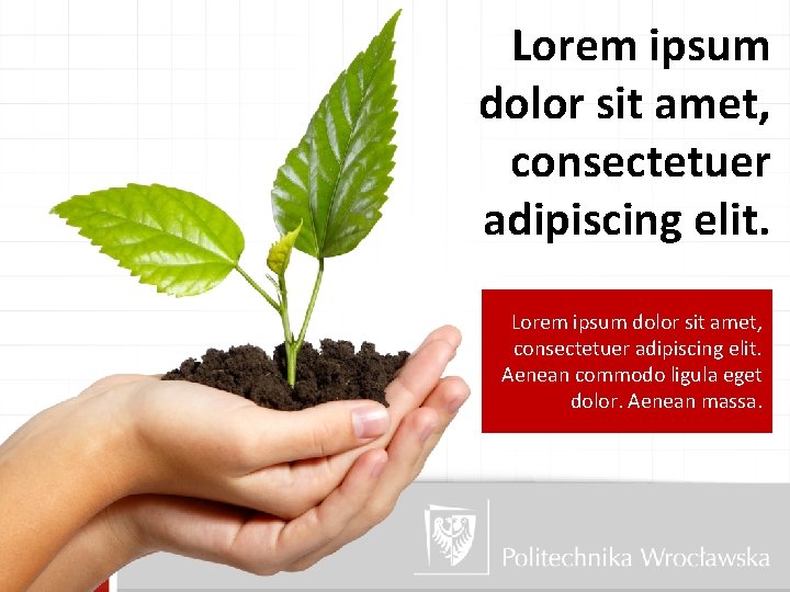 Lorem ipsum dolor sit amet, consectetuer adipiscing elit. Aenean commodo ligula eget dolor. Aenean