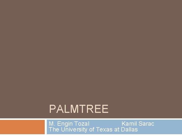 PALMTREE M. Engin Tozal Kamil Sarac The University of Texas at Dallas 