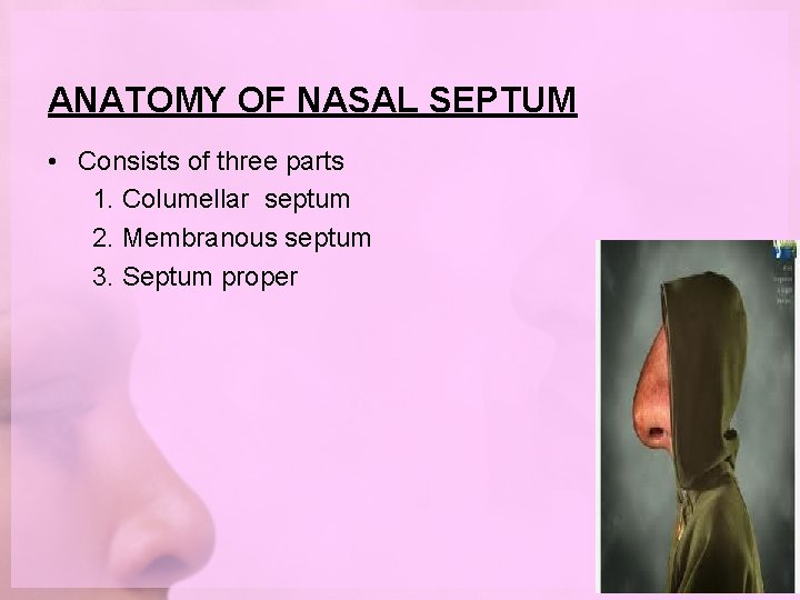 ANATOMY OF NASAL SEPTUM • Consists of three parts 1. Columellar septum 2. Membranous