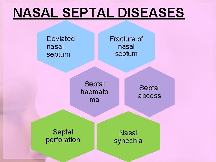 NASAL SEPTAL DISEASES Deviated nasal septum Fracture of nasal septum Septal haemato ma Septal