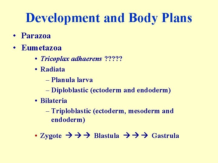 Development and Body Plans • Parazoa • Eumetazoa • Tricoplax adhaerens ? ? ?