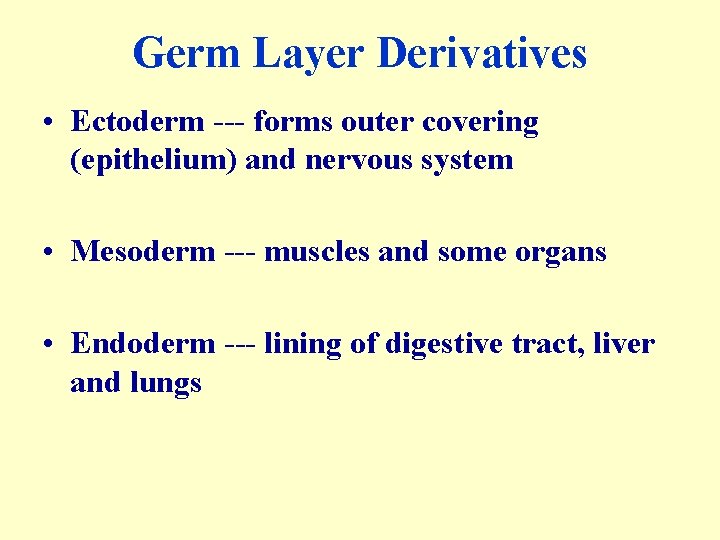 Germ Layer Derivatives • Ectoderm --- forms outer covering (epithelium) and nervous system •