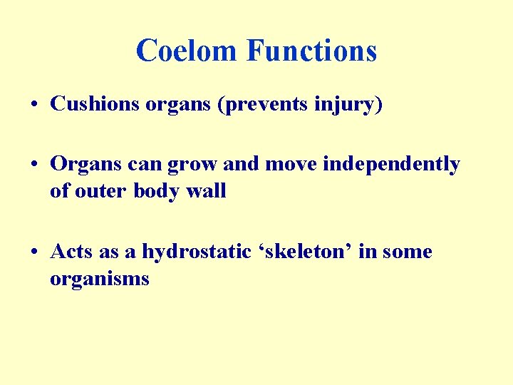 Coelom Functions • Cushions organs (prevents injury) • Organs can grow and move independently