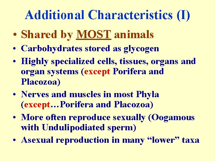 Additional Characteristics (I) • Shared by MOST animals • Carbohydrates stored as glycogen •