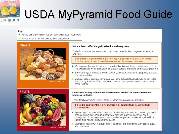 USDA My. Pyramid Food Guide 