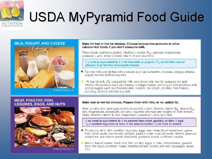 USDA My. Pyramid Food Guide 