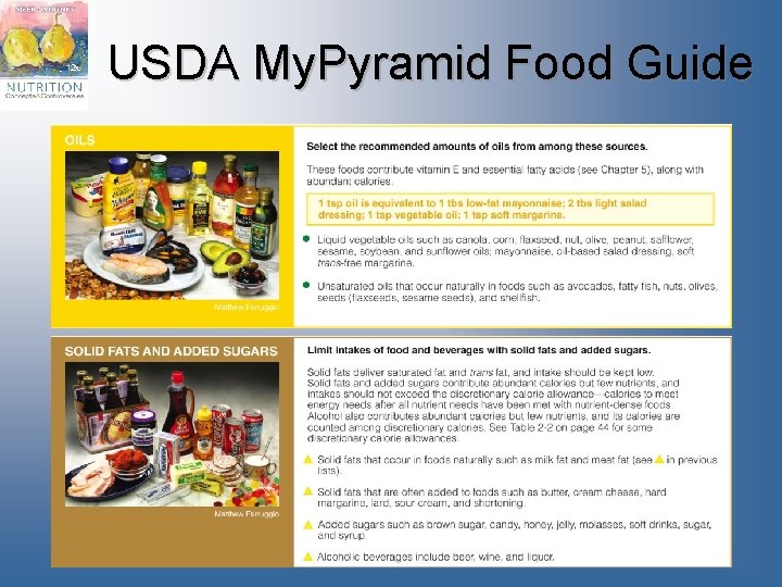 USDA My. Pyramid Food Guide 