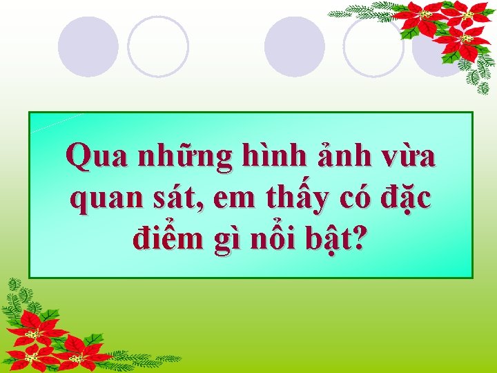 Qua những hình ảnh vừa quan sát, em thấy có đặc điểm gì nổi