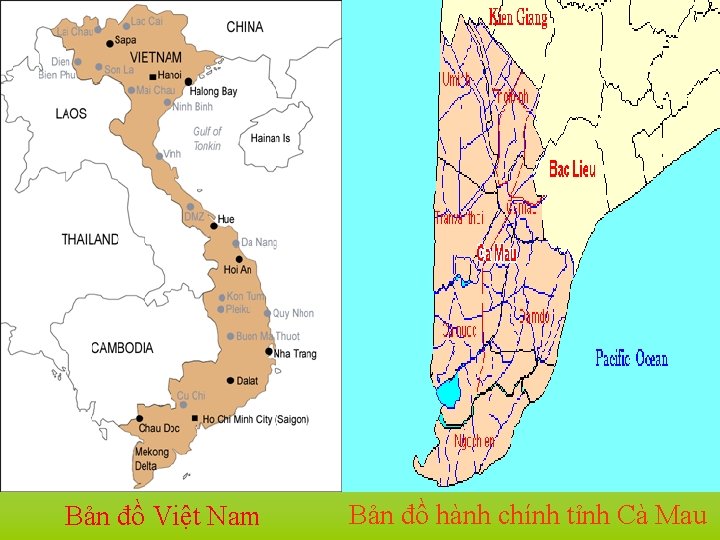 Bản đồ Việt Nam Bản đồ hành chính tỉnh Cà Mau 