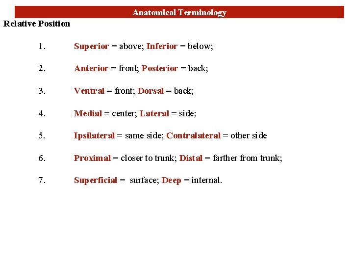 Anatomical Terminology Relative Position 1. Superior = above; Inferior = below; 2. Anterior =