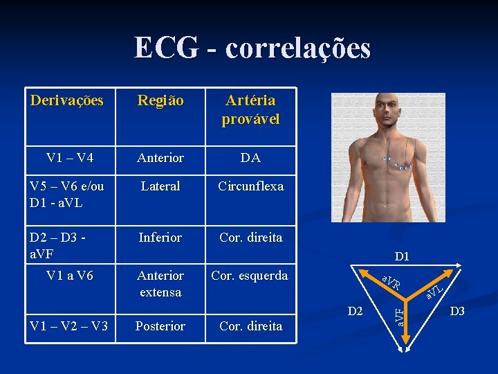 ECG - correlações Derivações Região Artéria provável V 1 – V 4 Anterior DA