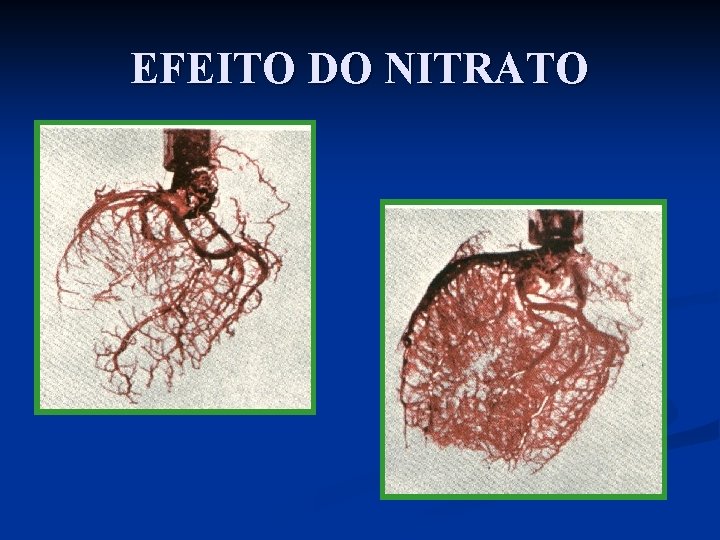 EFEITO DO NITRATO 
