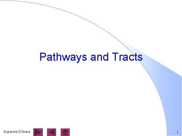 Pathways and Tracts Suzanne D'Anna 1 