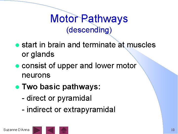 Motor Pathways (descending) start in brain and terminate at muscles or glands l consist