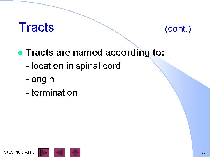 Tracts l (cont. ) Tracts are named according to: - location in spinal cord