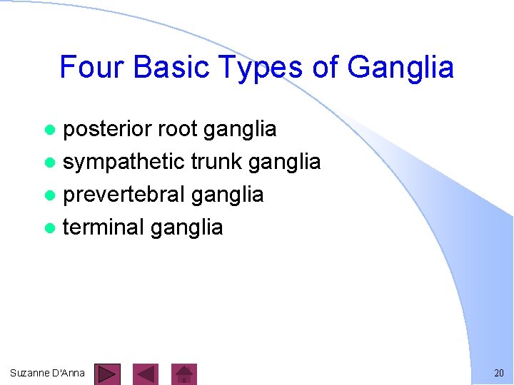 Four Basic Types of Ganglia posterior root ganglia l sympathetic trunk ganglia l prevertebral