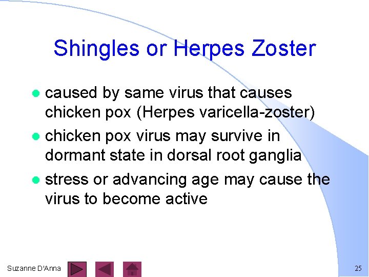 Shingles or Herpes Zoster caused by same virus that causes chicken pox (Herpes varicella-zoster)