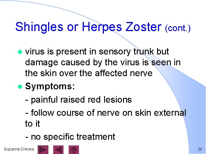 Shingles or Herpes Zoster (cont. ) virus is present in sensory trunk but damage