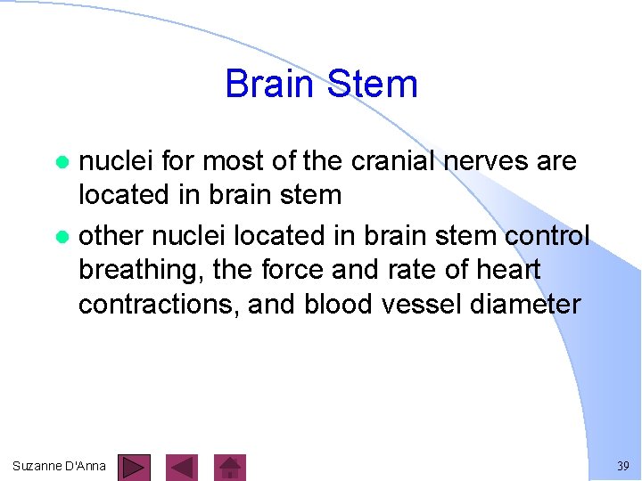 Brain Stem nuclei for most of the cranial nerves are located in brain stem