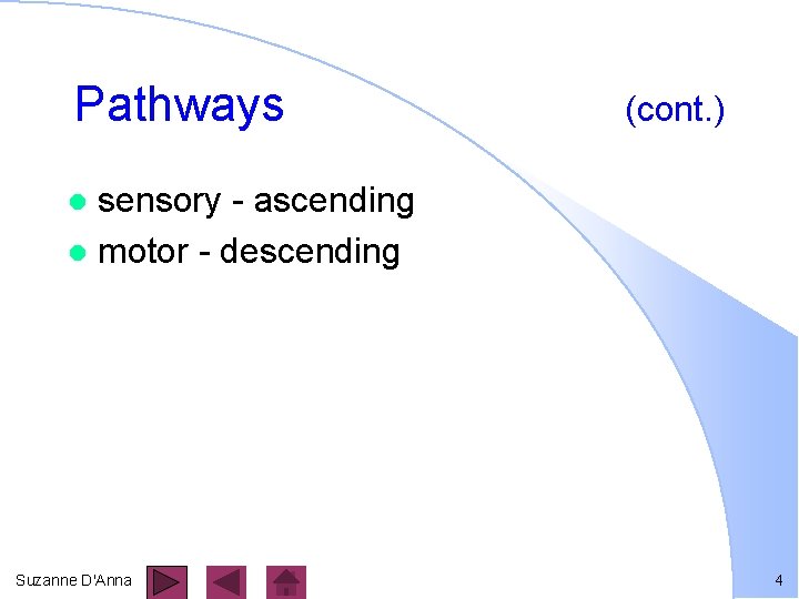 Pathways (cont. ) sensory - ascending l motor - descending l Suzanne D'Anna 4