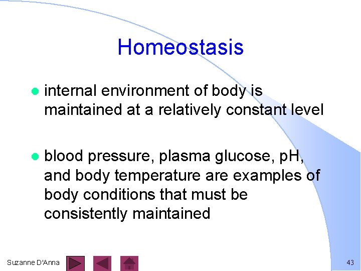 Homeostasis l internal environment of body is maintained at a relatively constant level l