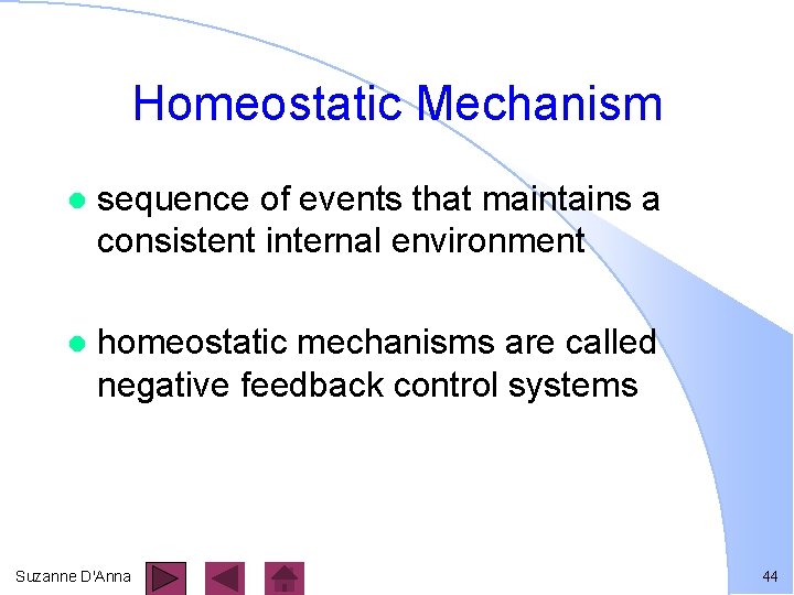 Homeostatic Mechanism l sequence of events that maintains a consistent internal environment l homeostatic