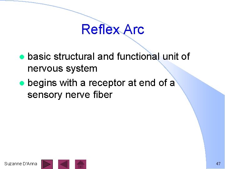 Reflex Arc basic structural and functional unit of nervous system l begins with a