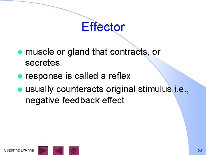 Effector muscle or gland that contracts, or secretes l response is called a reflex