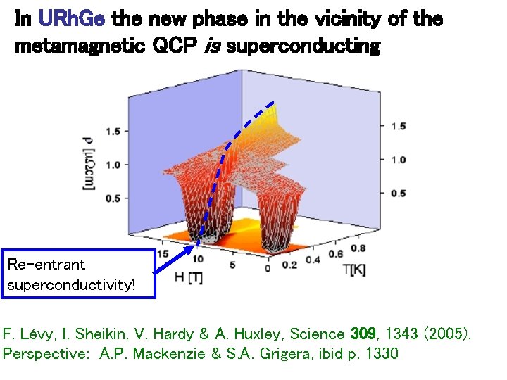 In URh. Ge the new phase in the vicinity of the metamagnetic QCP is